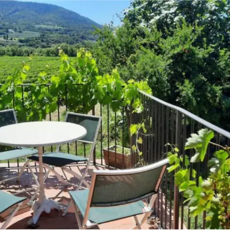 Villa L'o De Vigne, Eden In Provence